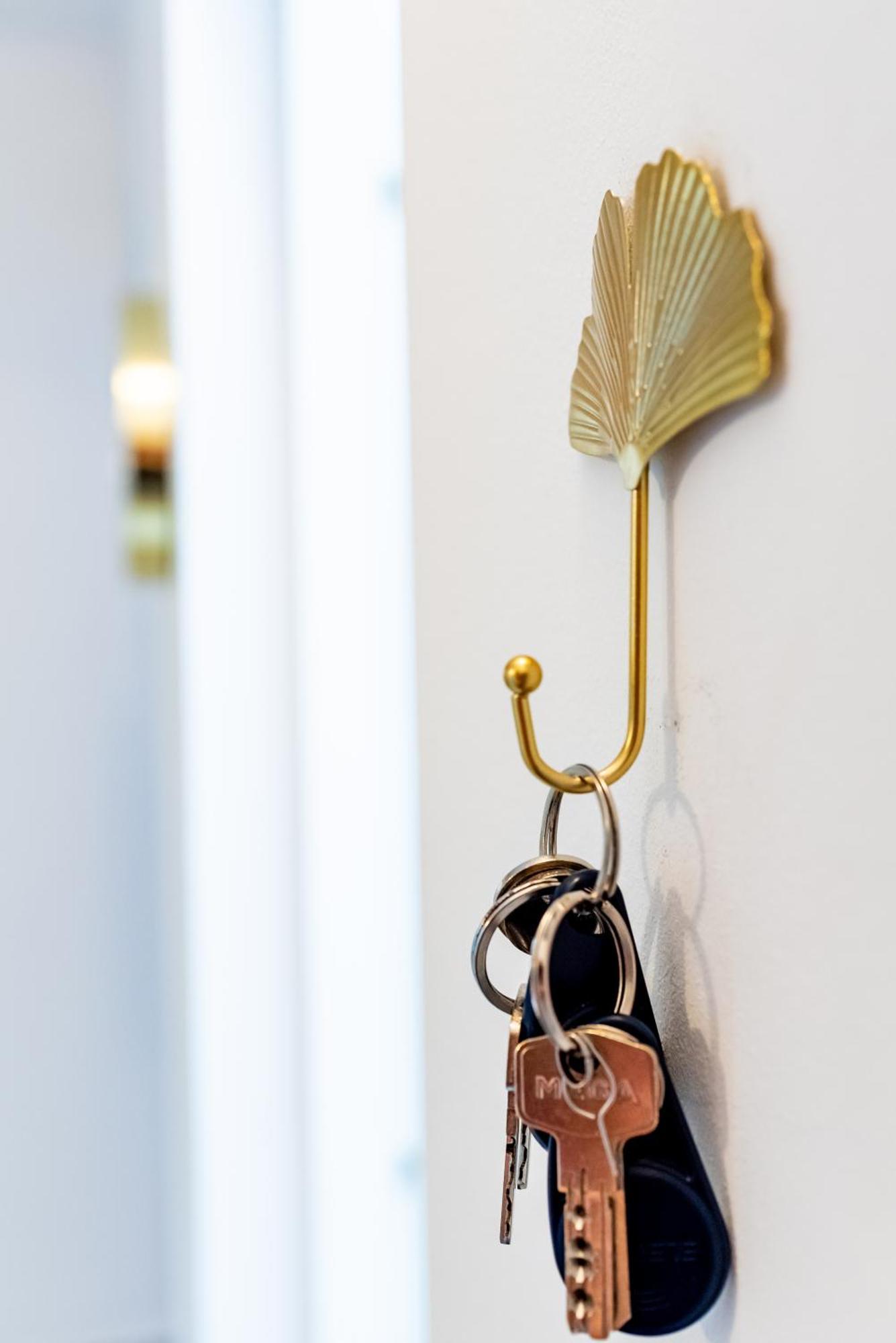 Apartament Lady-S Kluż-Napoka Zewnętrze zdjęcie